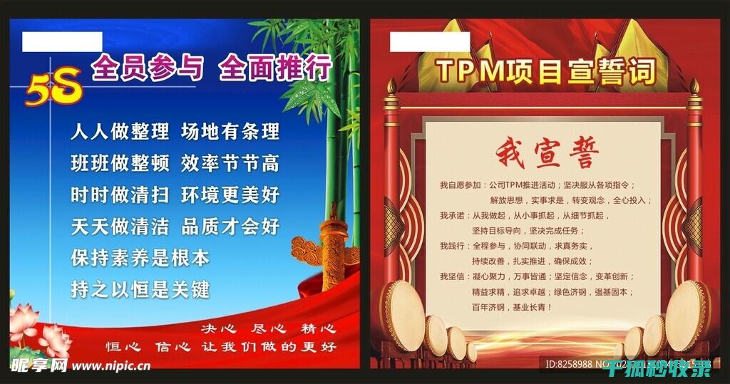 全面指南：逐步迁移WordPress网站至新主机的详细步骤 (指南中全面发展)