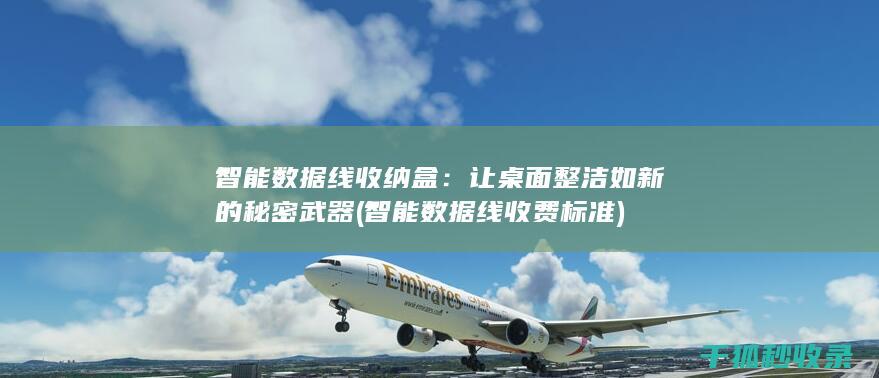 智能数据线收纳盒：让桌面整洁如新的秘密武器 (智能数据线收费标准)