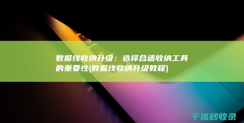 数据线收纳升级：选择合适收纳工具的重要性 (数据线收纳升级教程)