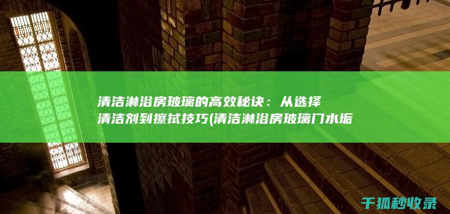 清洁淋浴房玻璃的高效秘诀：从选择清洁剂到擦拭技巧 (清洁淋浴房玻璃门水垢妙招)