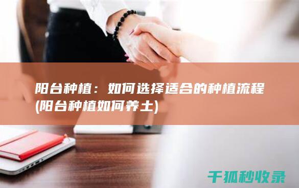 阳台种植：如何选择适合的种植流程 (阳台种植如何养土)