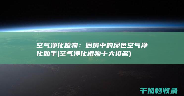 空气净化植物：厨房中的绿色空气净化助手 (空气净化植物十大排名)