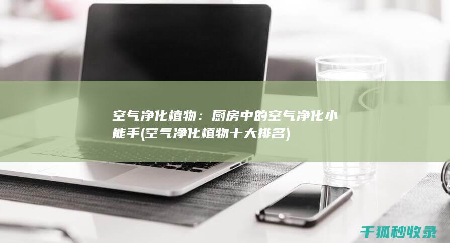 空气净化植物：厨房中的空气净化小能手 (空气净化植物十大排名)