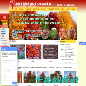 红橡树