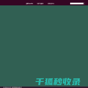 享网网络