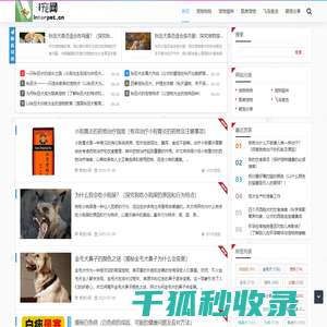 I宠网